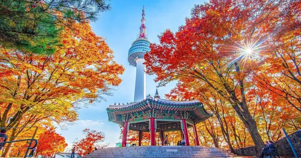 남산서울타워 전망대 & 케이블카 콤보 티켓