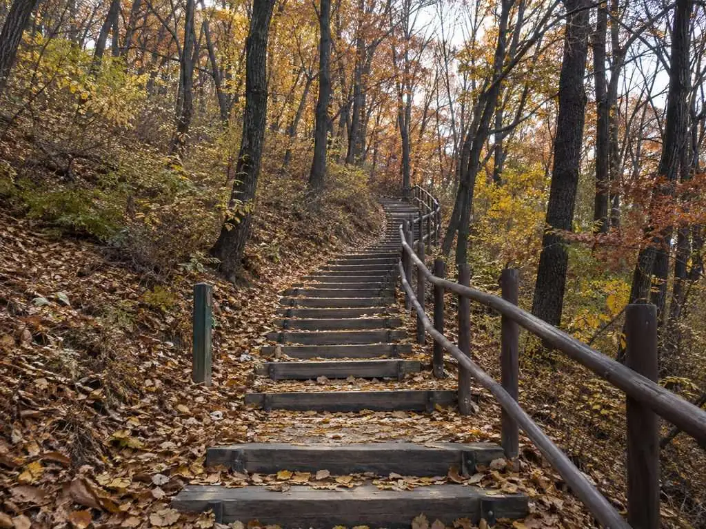 남산의 산책로와 나무 계단이에요